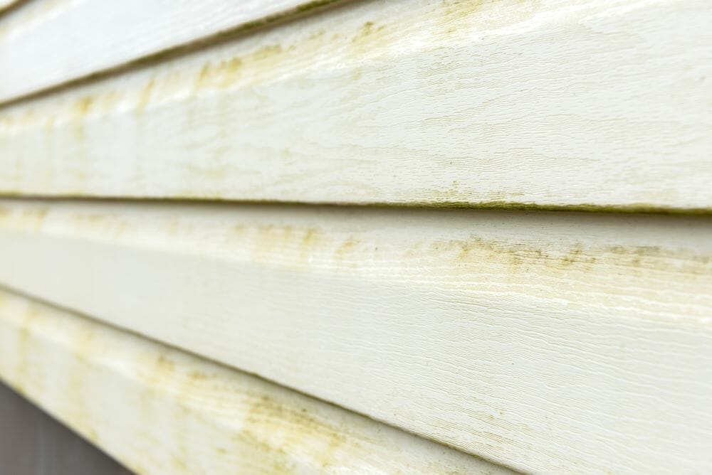 Сleaning vinyl siding - how to clean siding