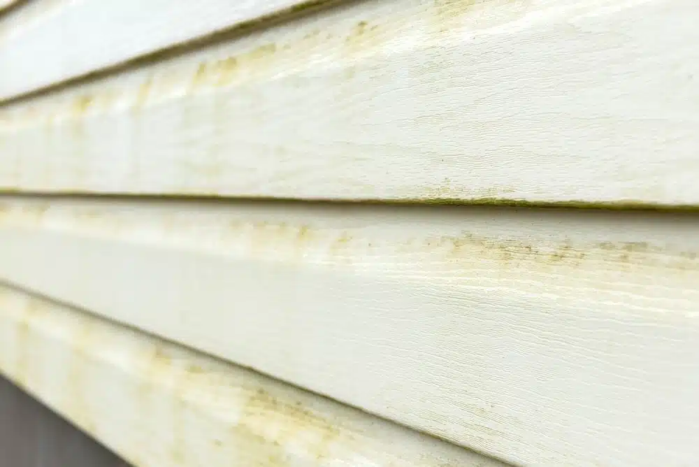 Сleaning vinyl siding - how to clean siding